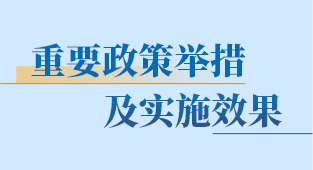 重要政策举措及实施效果